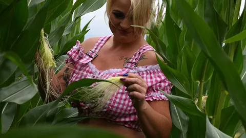 Tatoue Jenny im Maisfeld