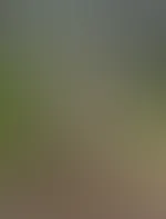 Im Wald kann man wirklich viel machen🤭