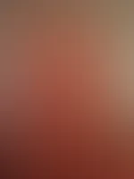 đ„đ„”