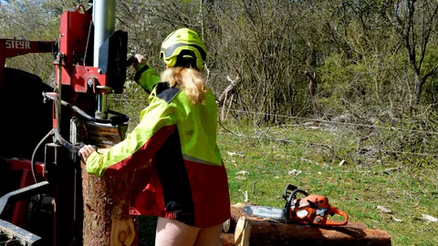 Spontanes Shooting beim Holzspalten