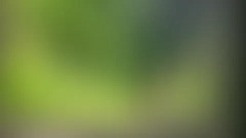 Outdoor S*x Video