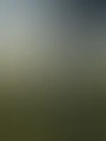 ⚜️18. Kalendertürchen ⚜️ Wie hast du meine füsse am liebsten? Erzähl es mir im Chat doch mal ganz genau ! 😈