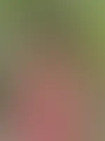 Bin zurück vom Party-Wochenende 😎 Habe ich dir gefehlt?