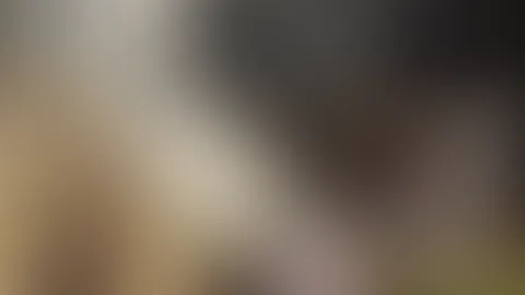 Blowjob beim Nachbarn 💦