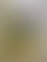 Glas Spielzeug 😜