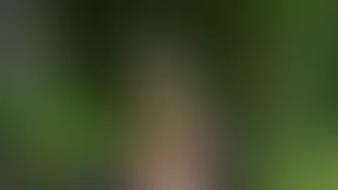 Fühlt sich irgendwie an wie Unterricht im grünen Klasssenzimmer 😂☘️🌲