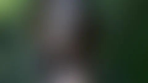 Blowjobs bedeuten DANKE!