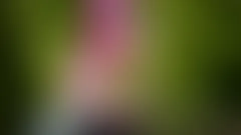 So eine Stange würde mir doch super stehen 😜🩷 Heiß, pink, Ass und eine Stange um sich auszutoben 🔥🩷