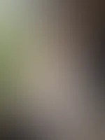To the left you see my lemon plant đ it is d*ing.. Please send help đ Or suggested solutions đ