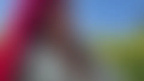 Im Rapsfeld wurde es heiĂđ