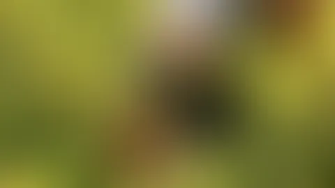 Was gibt es schöneres als wippende Möpse - gut schaukelnde Eier vielleicht noch ;-)