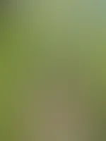 How do you like my ass out in the wild? An outdoor solo from that day is available. Almost got caught in a public park đ