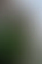 guten Rutsch ins neue Jahr