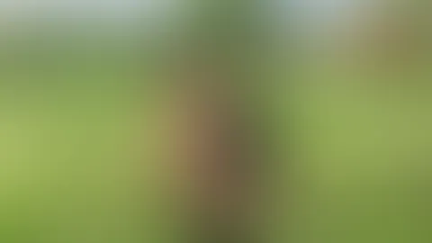 In der Natur selbst befriedigt dazu einen Plug im Po und zum Schluß gepinkelt