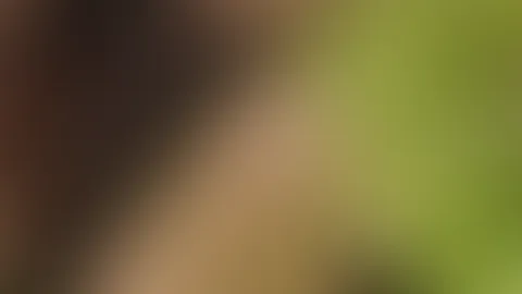 💖