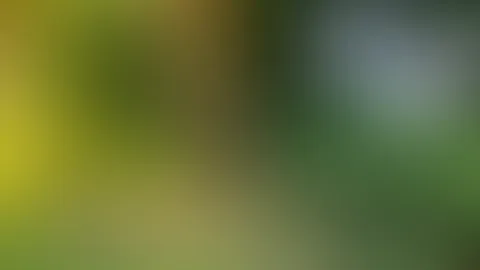 💛 NEUES Natursekt Video - Outdoor in leinenhose 💛