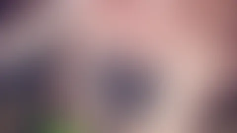 Heißen Vize Freitag an euch 💦 genießt den Tag und den Anblick