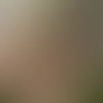 Geilen Wochenstart Babe 😋🥰 und ganz liebe Grüße aus meinem Garten 🤤😋🫶🏽 wird Mal wieder Zeit für ein Outdoor F**k 😜🤤🥰 stellst du dich zu Verfügung?😎😏
